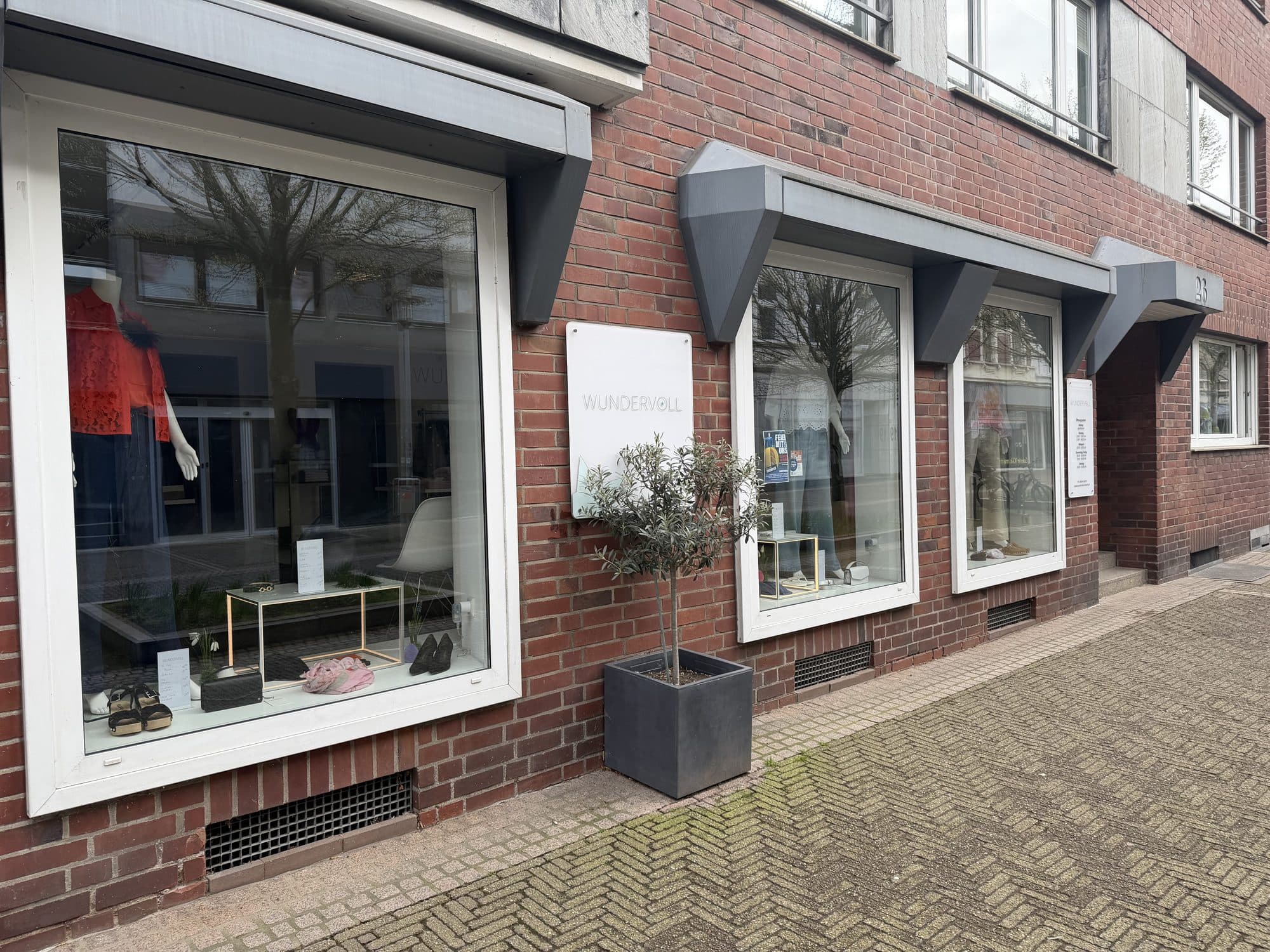 Schaufenster-Ansicht mit Olivenbaum